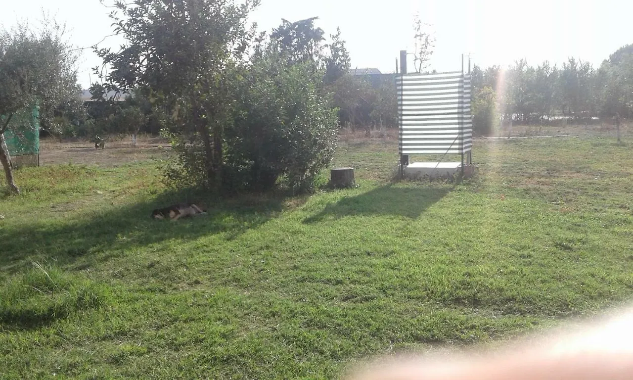 Pensión La Maison Di Zia Annina Olbia Costa Smeralda